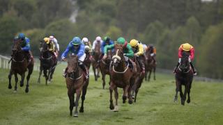 Gowran Park